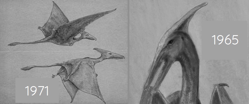 Pterosaurs-in-Cuba-C.jpg