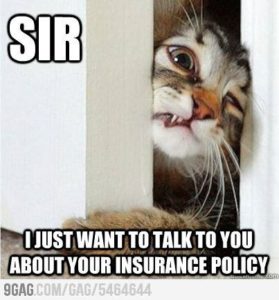 insurance-policy-cat-279x300.jpg