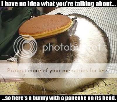 bunny-with-pancake.jpg